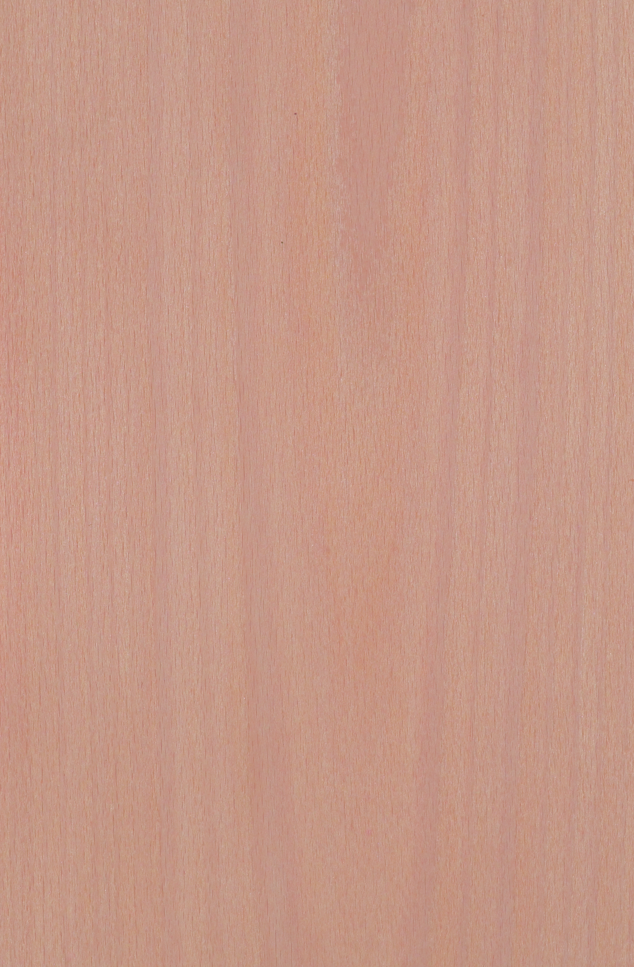 Lumber Muted acacia , Germany, Quality B, 450g/cm³